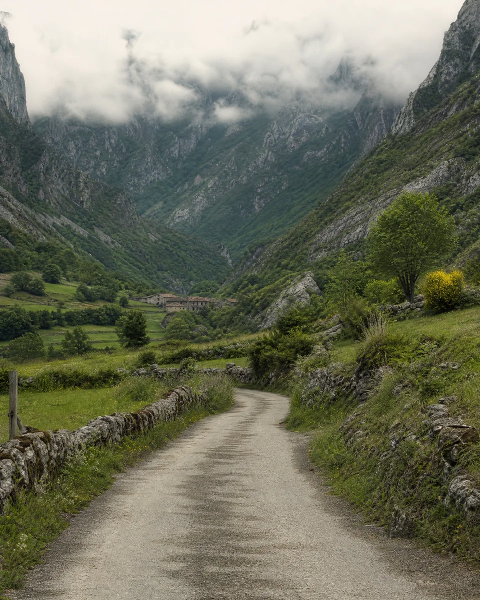 Paisaje editorial de Li&eacute;bana
