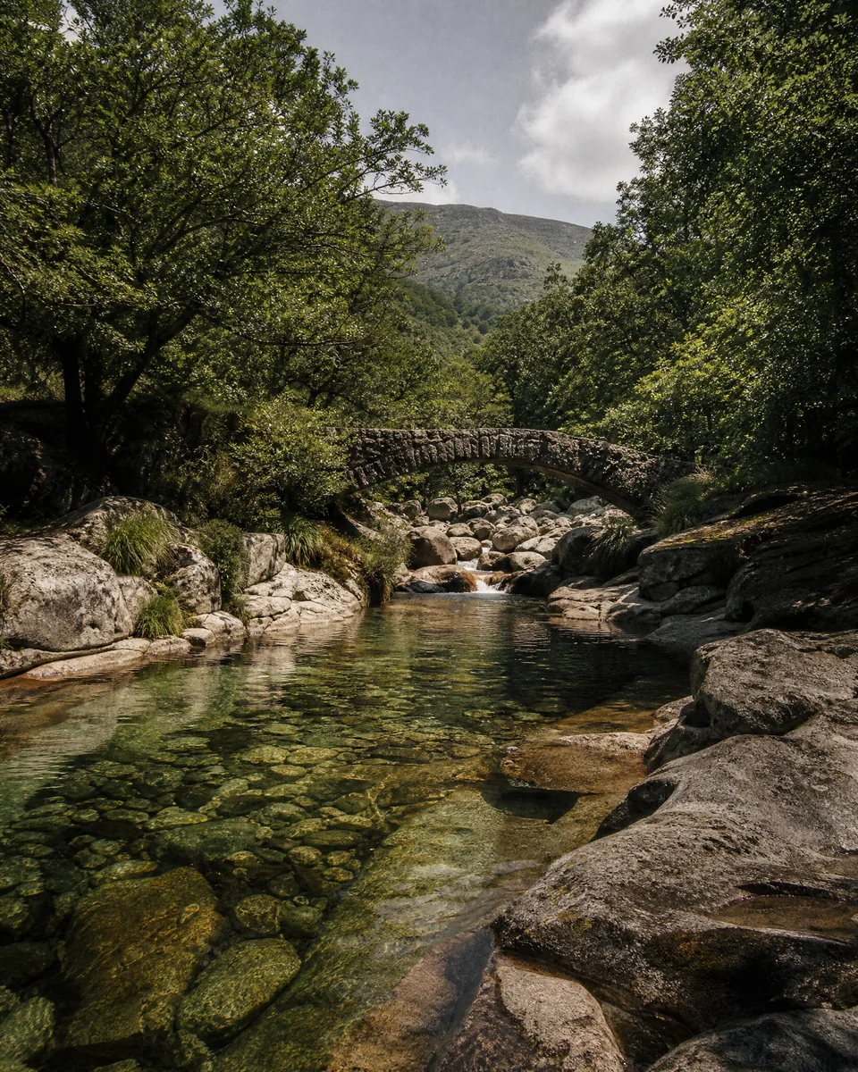 Paisaje editorial de La Vera